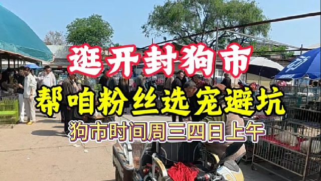 逛开封狗市，继续帮咱粉丝完成养宠心愿，让想养宠的新手少走弯路