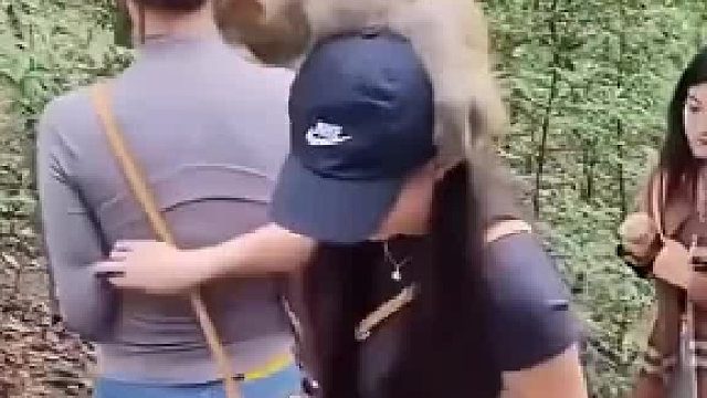 这猴子真调皮