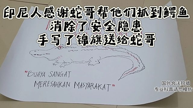 印尼人感谢蛇哥帮他们抓到鳄鱼消除了安全隐患，手写了锦旗送给蛇哥