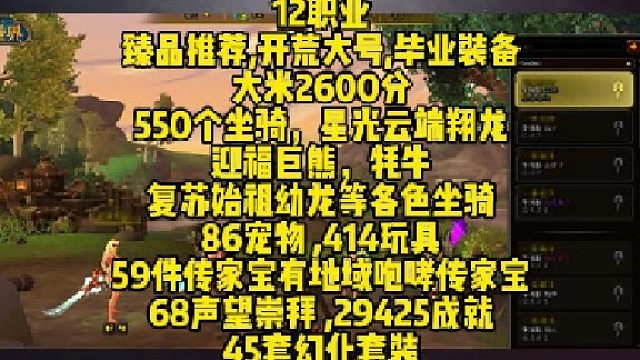 魔兽世界账号攻略解说看详情上三乐网