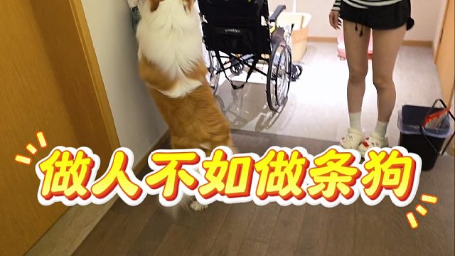 做人不如做条狗，见到美女他是真上啊