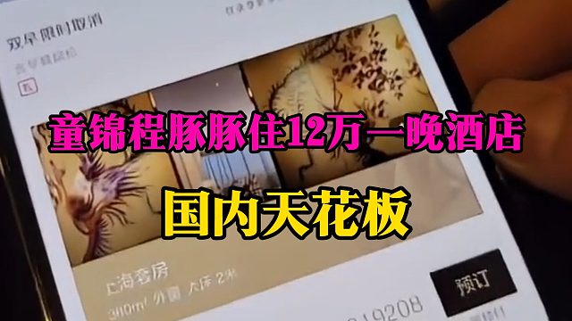 童锦程豚豚住12万一晚酒店，国内天花板