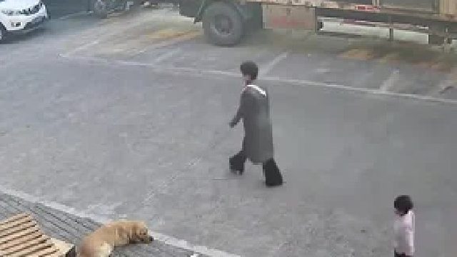 谁对谁错不明显吗？