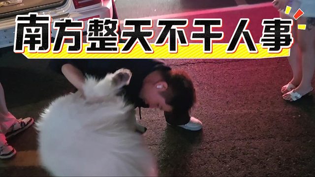 南方整天不干人事，直播验狗都来了
