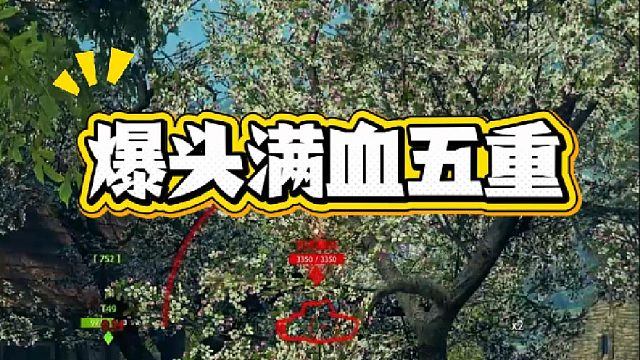 第一次爆满血五重的头 纪念一下