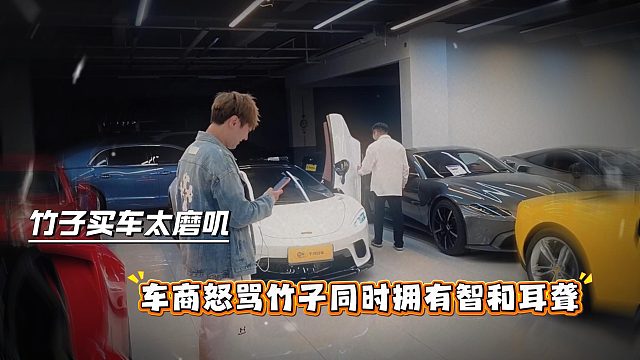 竹子买车太磨叽，车商怒骂竹子同时拥有智和耳聋