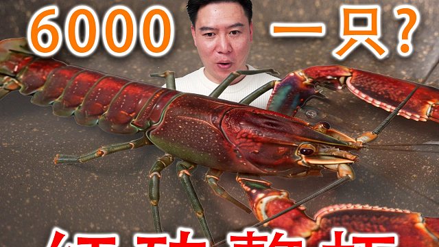 曾经能卖6000元一只的螯虾，到底是什么味道？