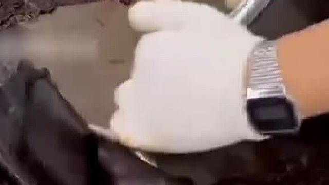看的有点懵了！