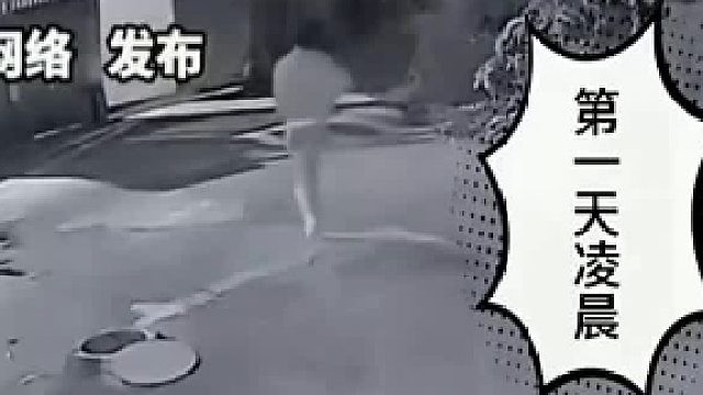 青青河边草