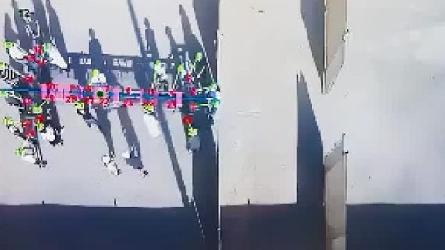 群体智慧谁更强？蚂蚁狠狠上了一课