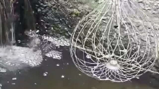 吓一跳！网友自制捕鱼神器，拉起来瞬间鱼脸上写满“震惊”