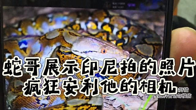 蛇哥展示印尼拍的照片，疯狂安利他的相机