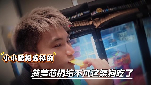 小小酷把丢掉的菠萝芯扔给不凡这条狗吃了