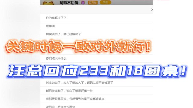 关键时候一致对外就行！汪总回应233和18圆桌！