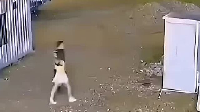 太憋屈了