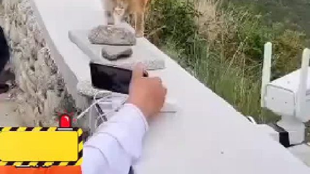 网友正在拍摄视频突然一只猫入镜，受惊吓的男子把猫推了下去