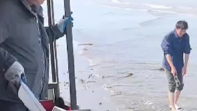 为了吸引游客来海边，专门有人把买来蛤蜊撒到海滩上面，网友：两个大哥感觉受到了“侮辱”