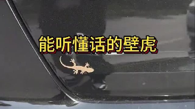 这小家伙儿咋这么配合呢