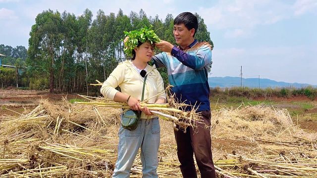 孩子们不在身边，夫妻田间相伴干农活 ，平凡日子也幸福
