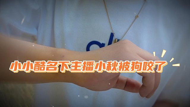 小小酷名下主播小秋，充当狗狗调解员被狗咬了