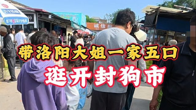 五一假期逛开封狗市，带洛阳大姐一家五口现场挑狗，玩儿的就是真