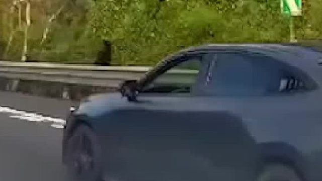 高速路上，陌生司机狂按喇叭挥手示意， 司机停下后，被他善意的提醒感动了！