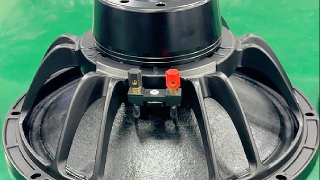 12 寸钕磁喇叭搭配 75 芯 700W，这样的配置你喜欢吗？