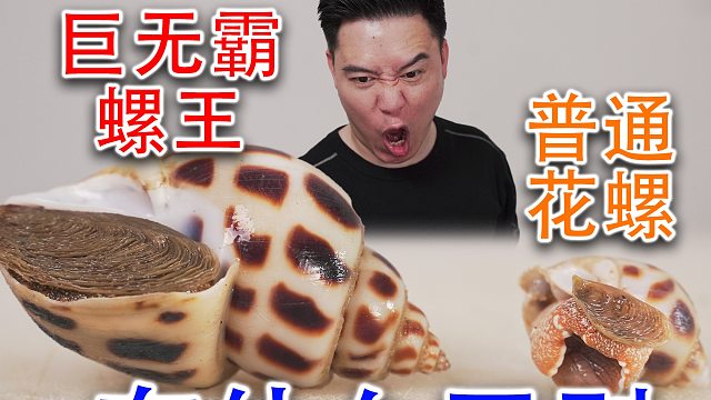 万里挑一的巨无霸方斑东风螺，一口一个都塞不下