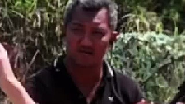 天生悍匪射击法