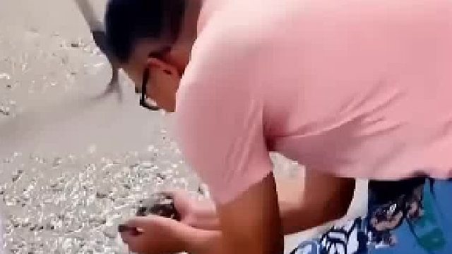 大学生发现修路用再生石头