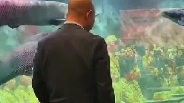 出差几天不回房间睡一直在看鱼缸……