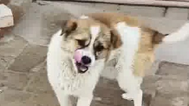 工作是工作，生活是生活