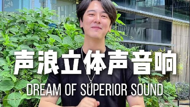 发烧级音质，平常价享受！DOSS原木音响