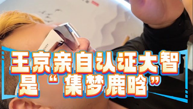 王京亲自认证大智是“集梦鹿晗”