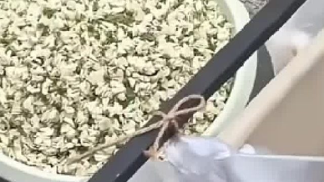 帮对面阿姨售卖槐花，没想到却被阿姨当成“工具人”
