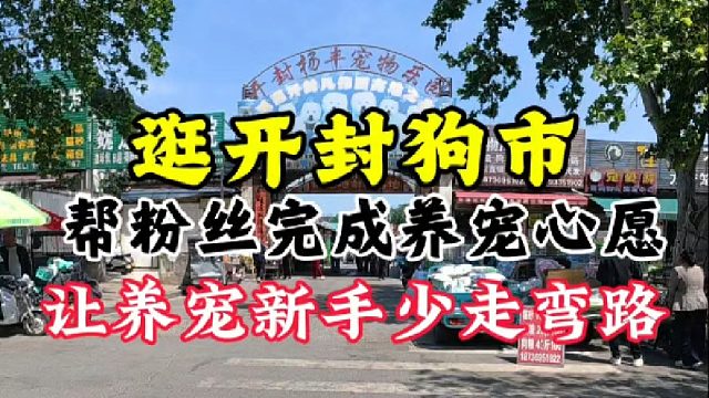 逛开封大型狗市，帮粉丝完成养宠心愿！让养宠新手少走弯路不踩坑