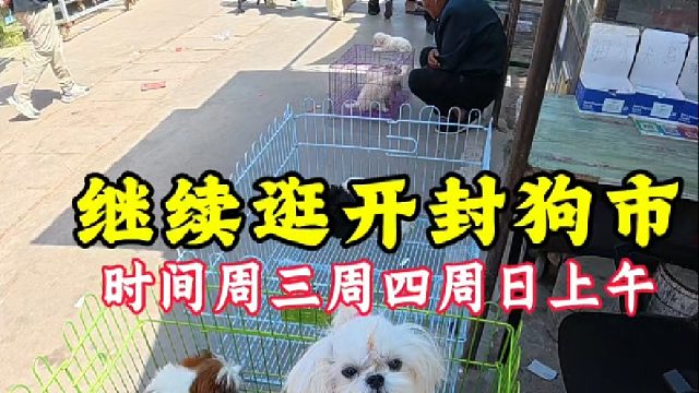 继续逛开封狗市，来淘狗看狗的人非常多，热闹的不得了！新手慎重