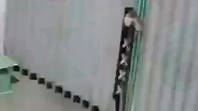 小偷：我还没上门啊 咋能下手那么狠呢
