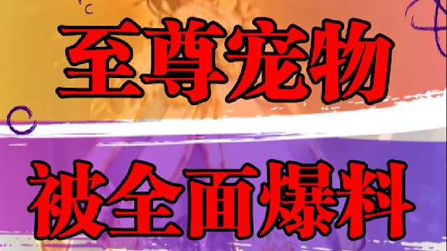 至尊宠物被全面爆料