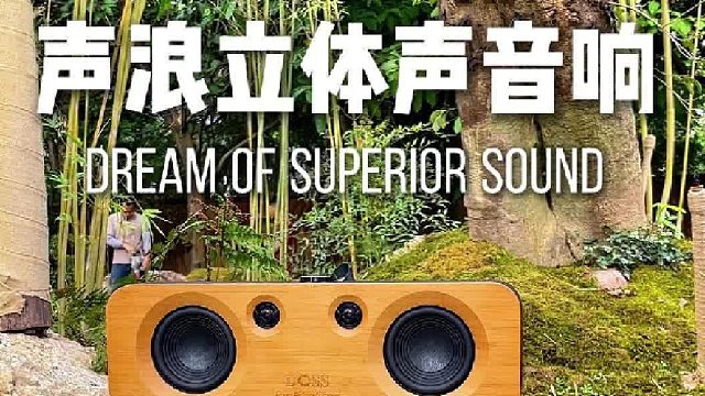 原木材质的高级感！DOSS声浪立体声音响