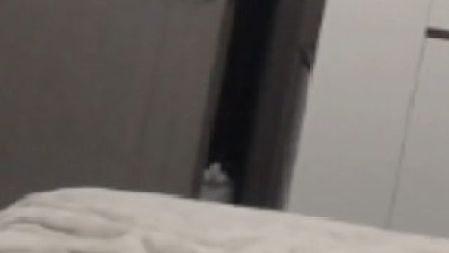 猫猫祟祟