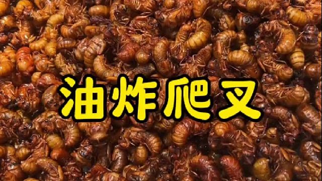 又到吃油炸爬叉的季节了，焦香酥脆，越嚼越香，一道硬菜