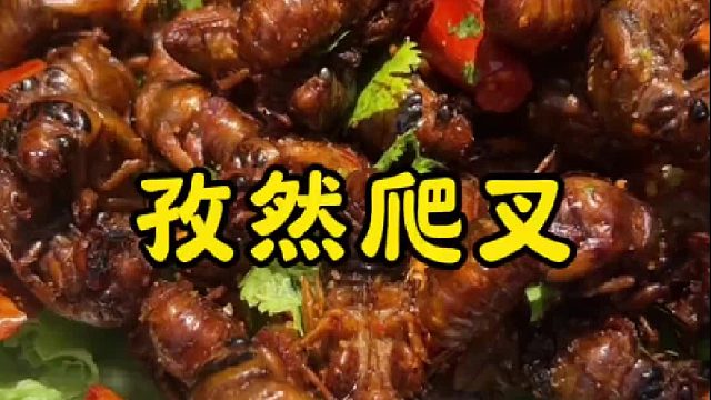 乡村大席一道硬菜，孜然爬叉，越嚼越香，酥香爽口