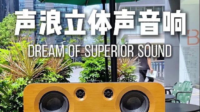 一个人的休闲，从好声音开始！DOSS原木音响