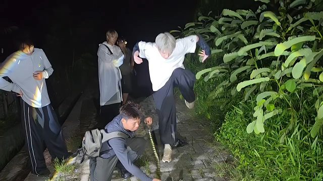 童锦程抓蛇被吓出金鸡独立，众人笑麻了