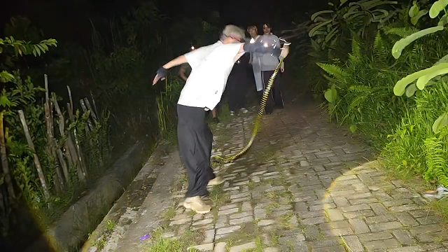 还得是童锦程，与蛇共舞，节目效果爆炸，众人都吓坏了