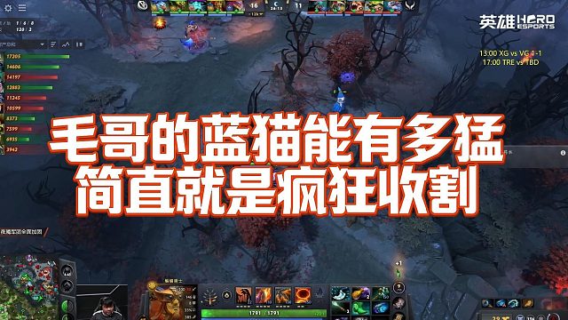 【Maybe】毛哥的蓝猫能有多猛，简直就是疯狂收割