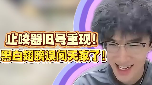 止咬器旧号重现！黑白翅膀误闯天家了！