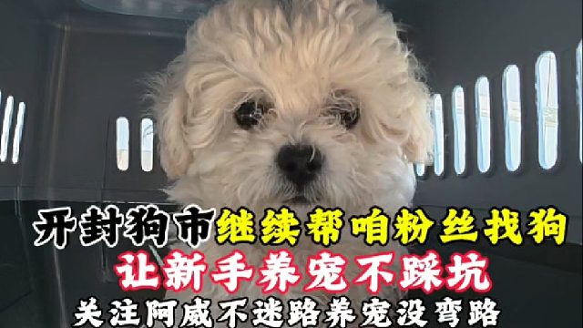 开封狗市继续帮咱粉丝找狗，让想养宠的新手少走弯路不踩坑！