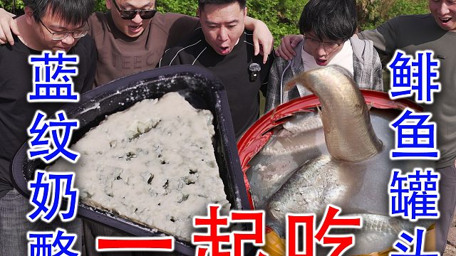 兄弟们，蓝纹奶酪和鲱鱼罐头一起吃，我吐了